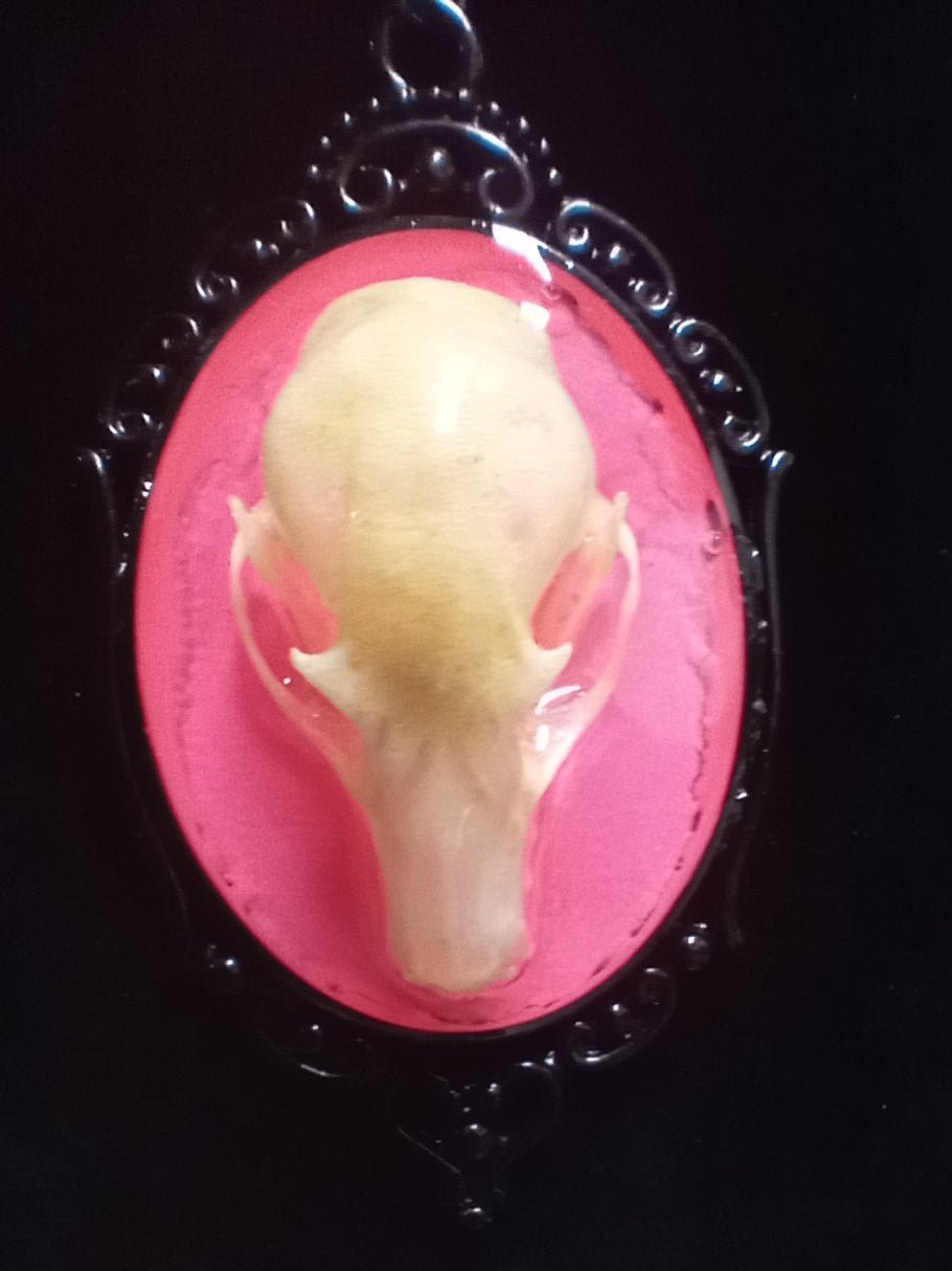 Cranial Memories