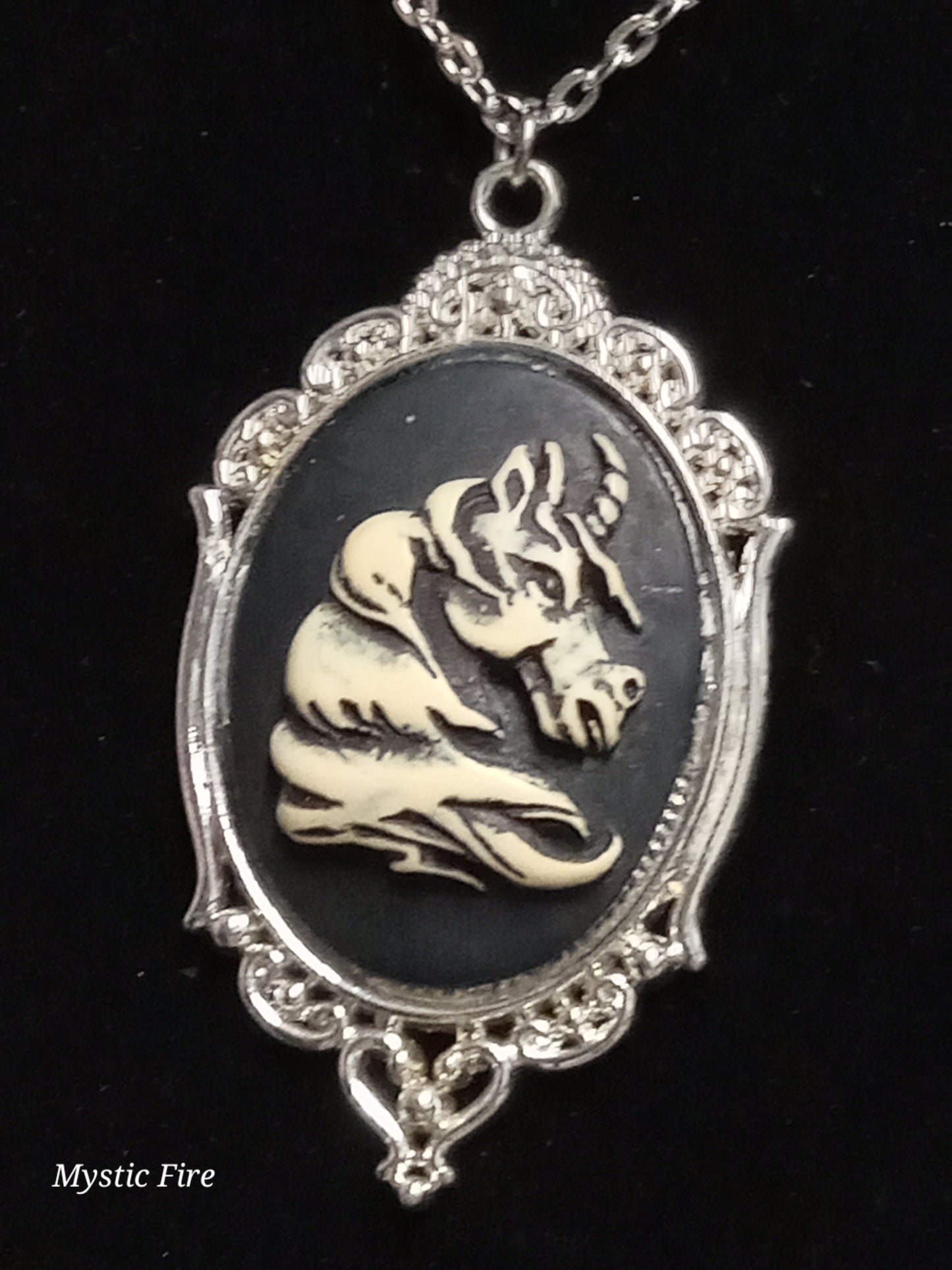 Cryptic Cameo Necklace