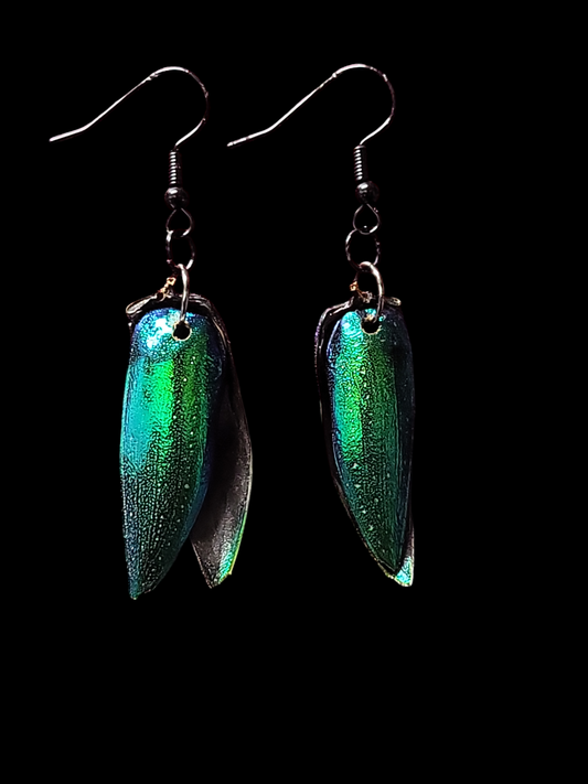 Scarab Wings Earrings